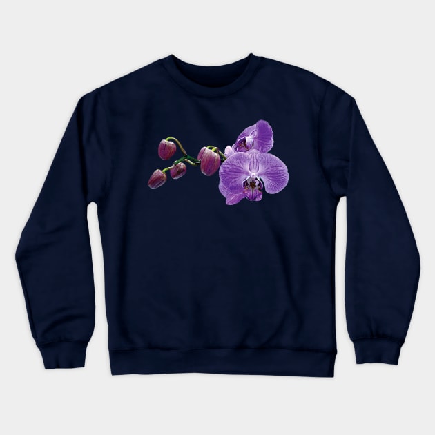 Purple Orchids With Buds Crewneck Sweatshirt by SusanSavad